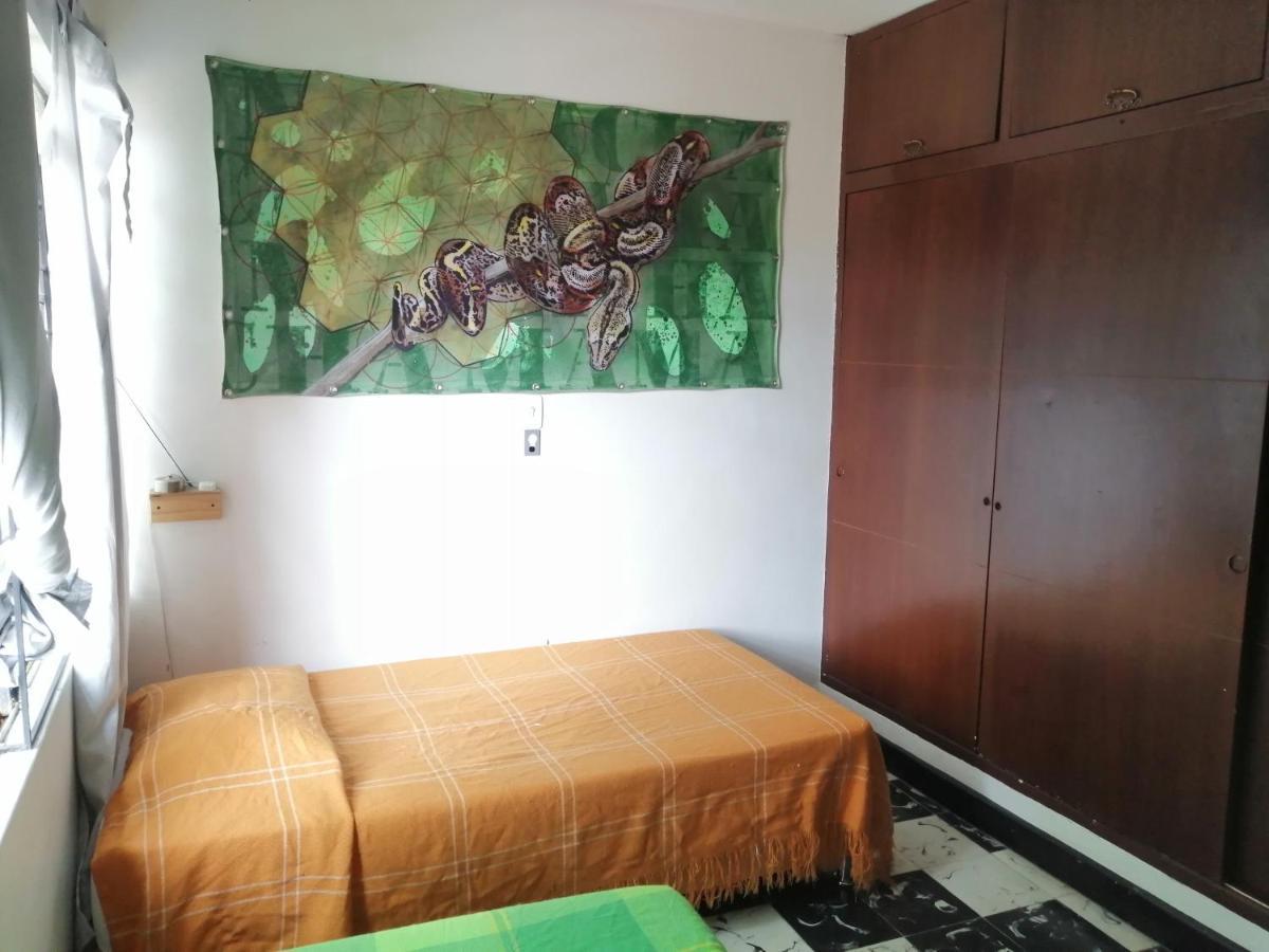 Selvatica Alojamiento Eco (Adults Only) 麦德林 外观 照片