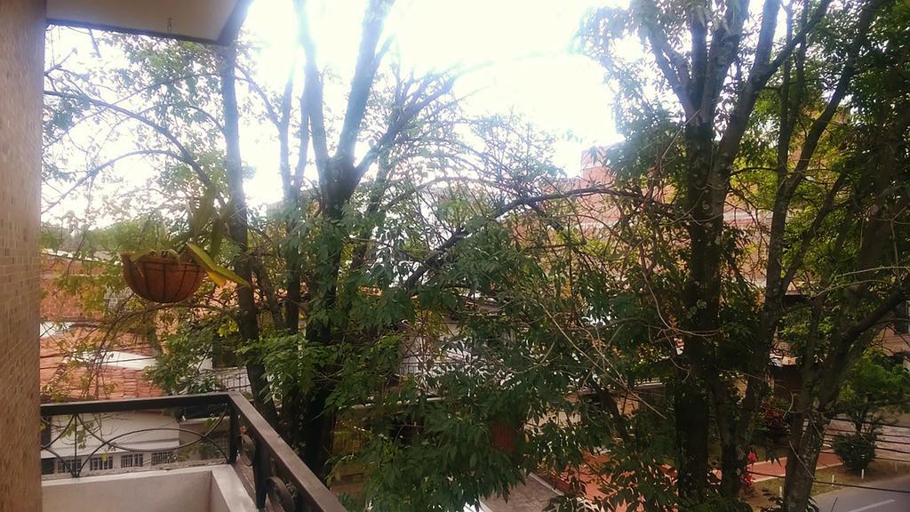 Selvatica Alojamiento Eco (Adults Only) 麦德林 外观 照片