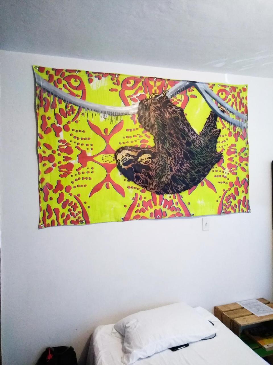 Selvatica Alojamiento Eco (Adults Only) 麦德林 外观 照片