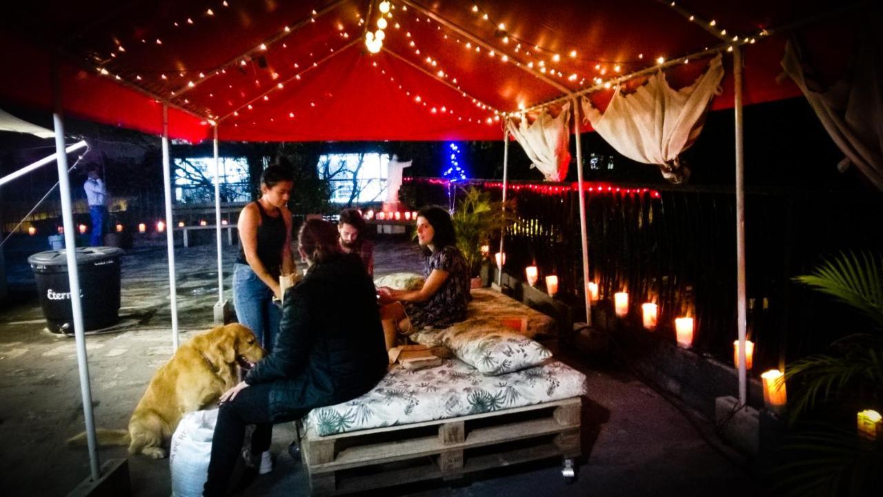 Selvatica Alojamiento Eco (Adults Only) 麦德林 外观 照片