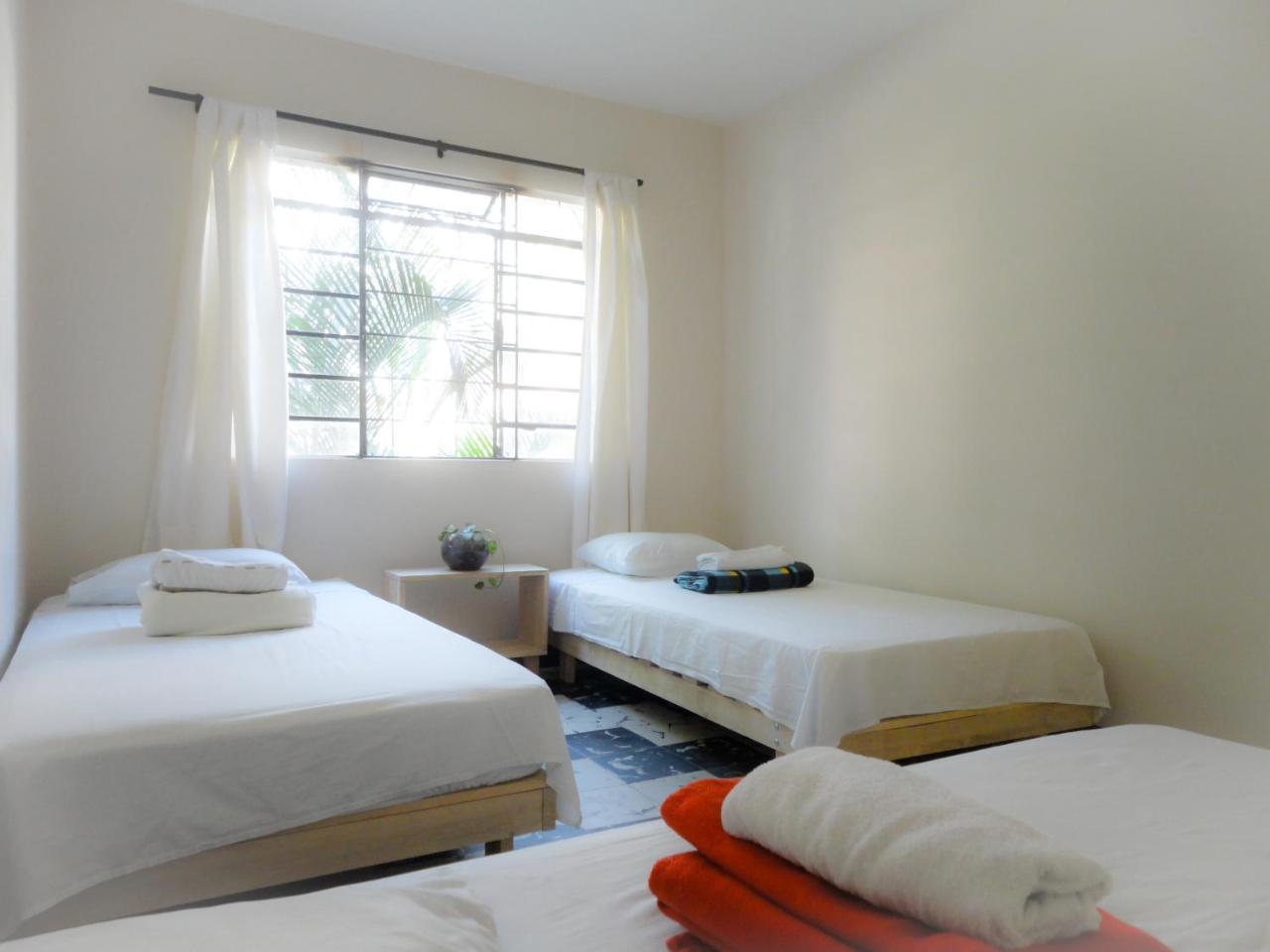 Selvatica Alojamiento Eco (Adults Only) 麦德林 外观 照片