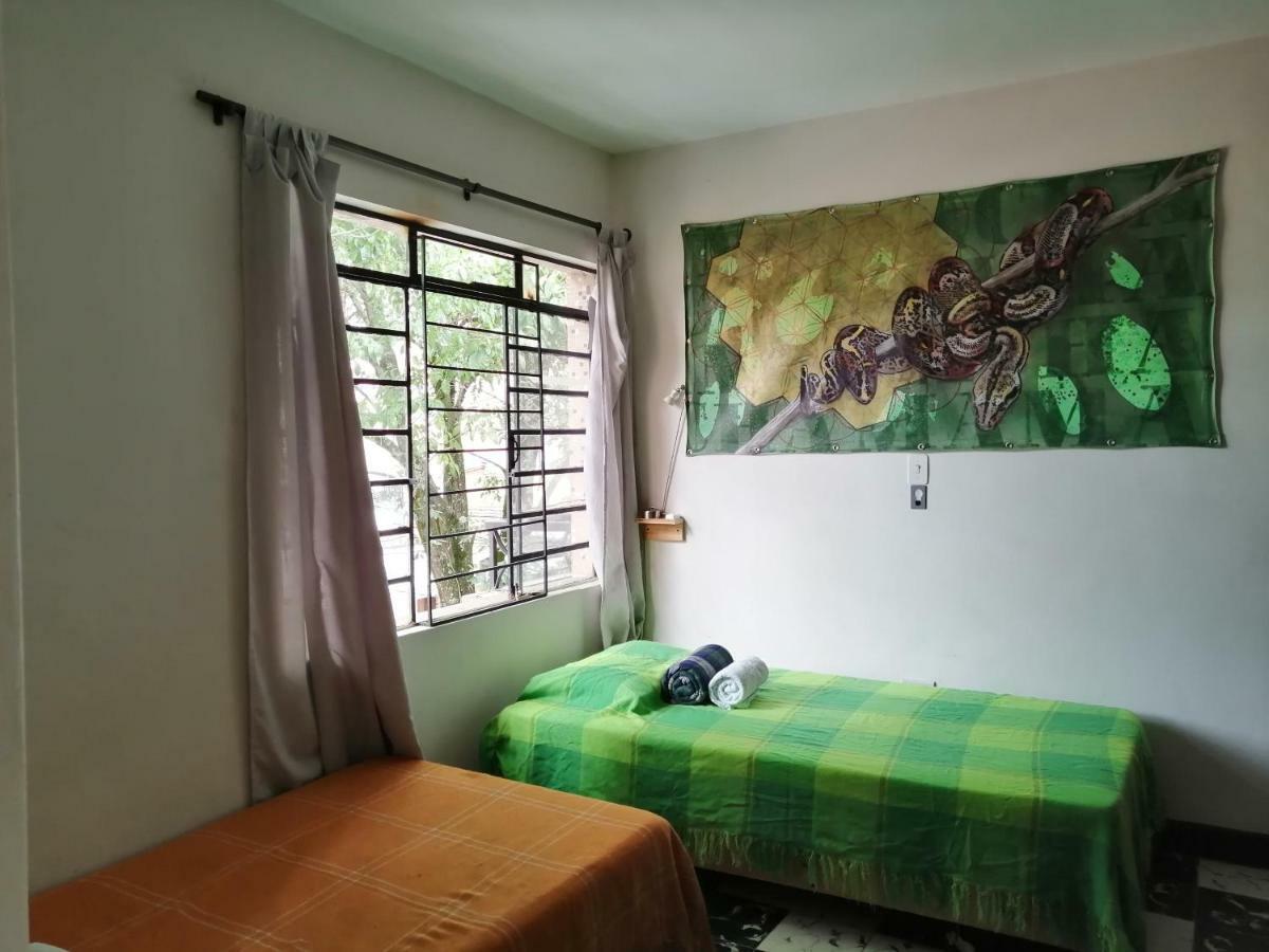 Selvatica Alojamiento Eco (Adults Only) 麦德林 外观 照片